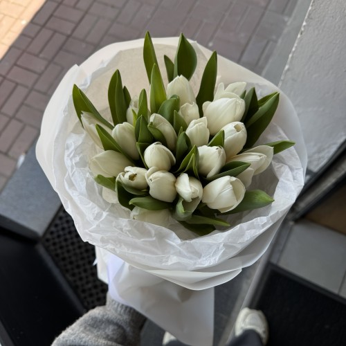 15 білих тюльпанів