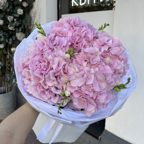 А bunch of hydrangeas
