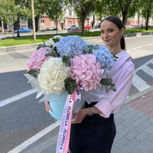 Бокс з гортензіями