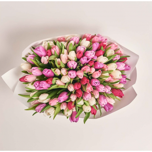 101 тюльпан мікс