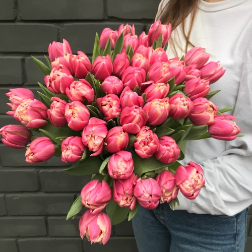 Розовые пионовидные тюльпаны