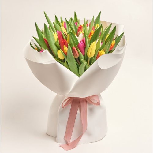 51 тюльпан мікс