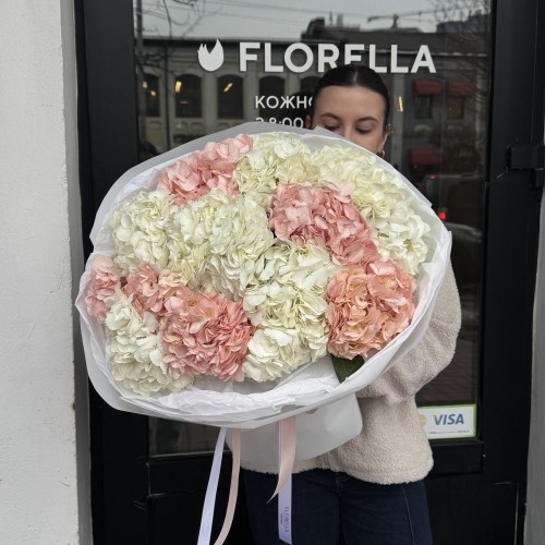 Мікс гортензій 15 шт