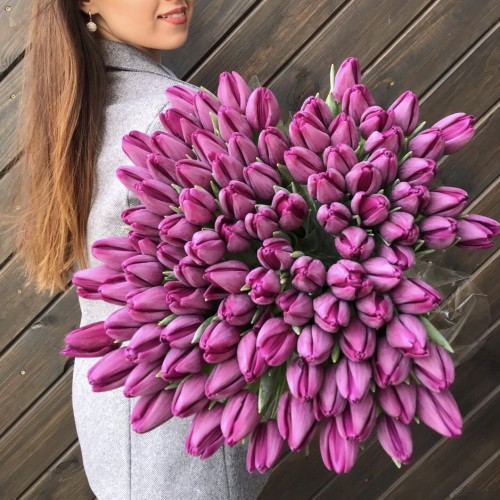 Фиолетовые тюльпаны 